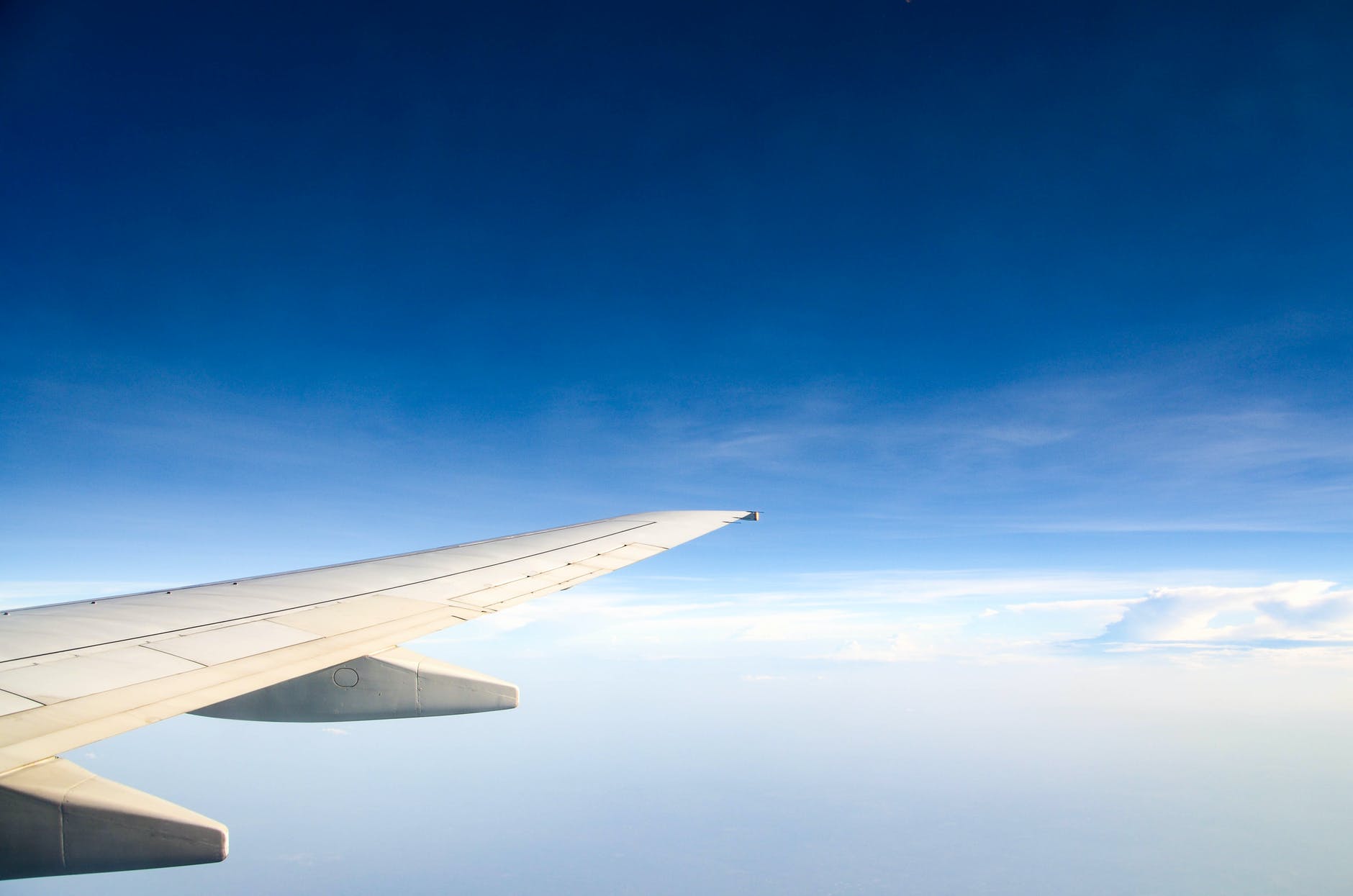photography of aircraft wing